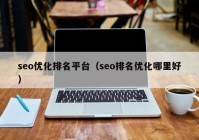 seo优化排名平台（seo排名优化哪里好）